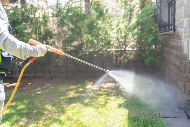 Best Local Pest Control Services  in Trumbull Center, CT