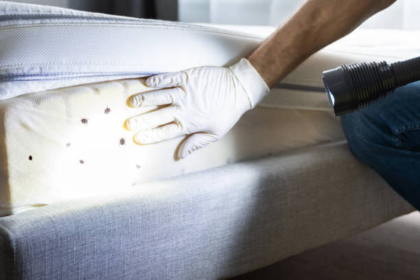 Best Pest Control Near Me  in Trumbull Center, CT