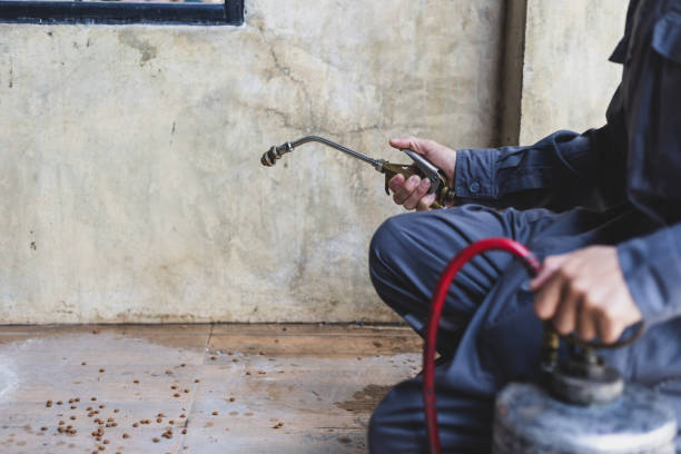 Best Pest Control Cost  in Trumbull Center, CT